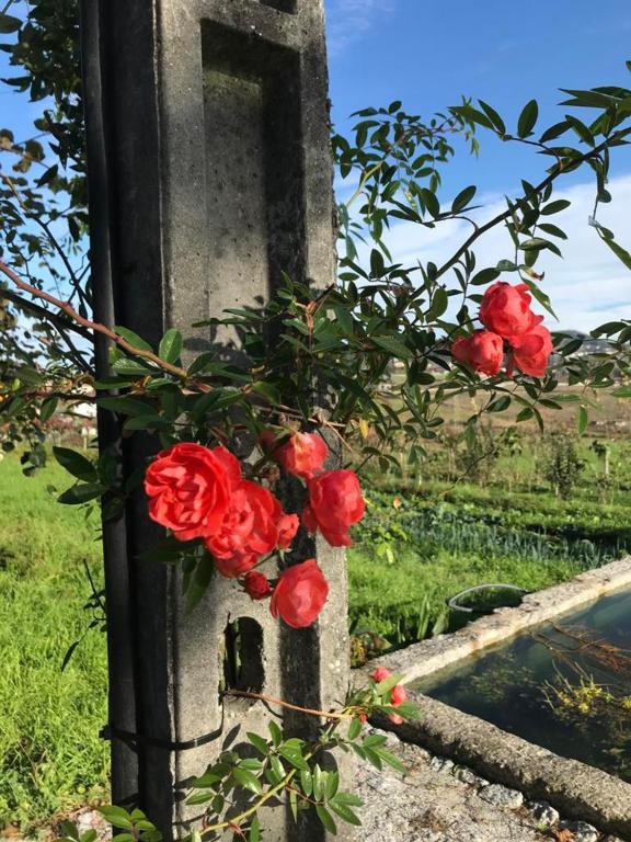 Quinta Do Pinheiro Villa Guimarães Kültér fotó