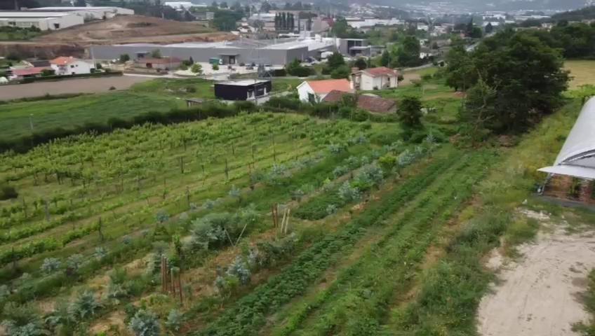 Quinta Do Pinheiro Villa Guimarães Kültér fotó